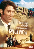  Бутон розы смотреть онлайн (1975) 