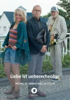  Любовь непредсказуема смотреть онлайн (2022) 