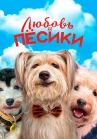  Любовь и пёсики смотреть онлайн (2023) 