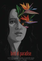  Райская пташка смотреть онлайн (2023) 