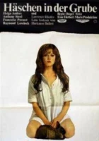  Заяц в норе смотреть онлайн (1969) 