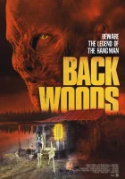  Чёрный лес смотреть онлайн (2020) 