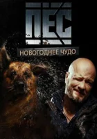  Новогодний пёс смотреть онлайн фильм 1 сезон 