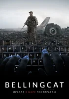  Bellingcat: Правда в мире постправды смотреть онлайн (2018) 