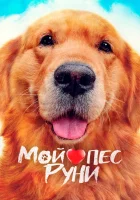  Мой пёс Руни смотреть онлайн (2023) 