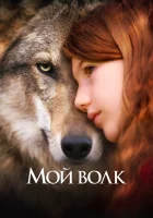  Мой волк смотреть онлайн (2021) 