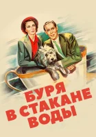  Буря в стакане воды смотреть онлайн (1937) 