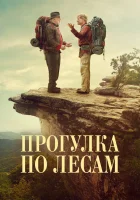 Прогулка по лесам смотреть онлайн (2015) 