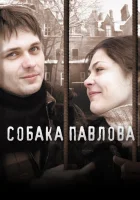  Собака Павлова смотреть онлайн (2005) 