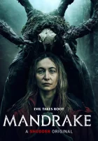  Мандрагора смотреть онлайн (2022) 