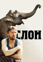  Слон смотреть онлайн (2010) 