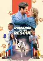  Дрессировка любви смотреть онлайн (2022) 