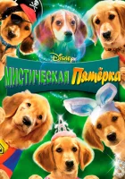  Мистическая пятерка смотреть онлайн (2011) 