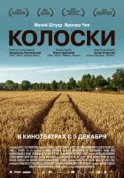  Колоски смотреть онлайн (2012) 