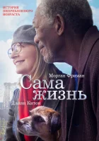  Сама жизнь смотреть онлайн (2014) 