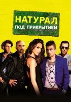  Натурал под прикрытием смотреть онлайн (2014) 