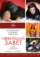  Новейший завет смотреть онлайн (2015) 