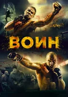  Воин смотреть онлайн (2015) 