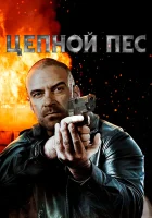  Цепной пёс смотреть онлайн (2020) 