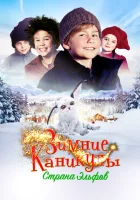  Зимние каникулы: Страна эльфов смотреть онлайн (2016) 