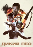  Дикий пёс смотреть онлайн (2017) 