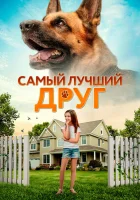  Самый лучший друг смотреть онлайн (2018) 