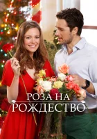  Роза на Рождество смотреть онлайн (2017) 