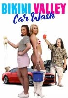  Автомойка "Бикини Вэлли" смотреть онлайн (2020) 