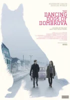  Танцующие собаки из Домбровы смотреть онлайн (2018) 
