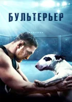  Бультерьер смотреть онлайн (2022) 