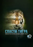  Спасти тигра Taken by the Tiger смотреть онлайн (2019) 