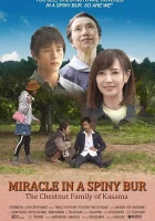  Чудо в Колючем Бору: Каштановая Семья из Касамы (Чудо в Касаме) смотреть онлайн (2018) 