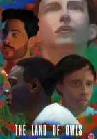  Земля сов смотреть онлайн (2021) 