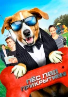  Пес под прикрытием Агент Тоби Баркс смотреть онлайн (2020) 