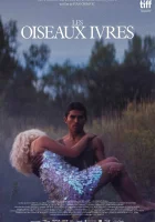  Пьяные пташки смотреть онлайн (2021) 