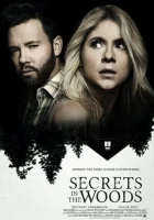  Секреты в лесу Вне зоны доступа смотреть онлайн (2020) 