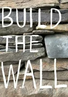  Построить стену смотреть онлайн (2020) 