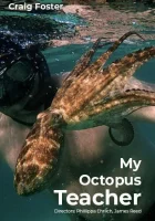  Мой учитель-осьминог смотреть онлайн (2020) 