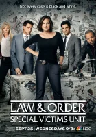 Закон и порядок. Специальный корпус Law and Order: Special Victims Unit смотреть онлайн сериал 1-27 сезон 