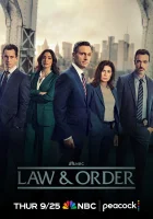  Закон и порядок Law and Order смотреть онлайн сериал 1-23 сезон 