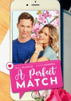  Идеальное сходство смотреть онлайн (2021) 