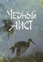  Черный аист смотреть онлайн (1993) 