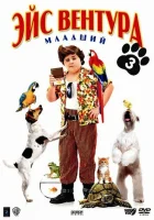  Эйс Вентура младший смотреть онлайн (2009) 