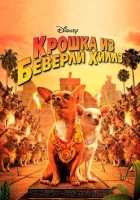  Крошка из Беверли-Хиллз смотреть онлайн (2008) 