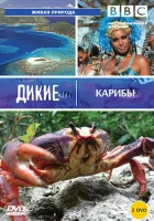  BBC: Дикие Карибы смотреть онлайн тв шоу 1 сезон 