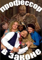  Профессор в законе смотреть онлайн (2006) 