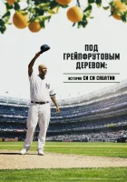  Под грейпфрутовым деревом: История Си Си Сабатии смотреть онлайн (2020) 