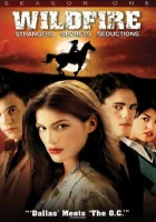  Дикий огонь Вайлдфайр смотреть онлайн сериал 1-4 сезон 