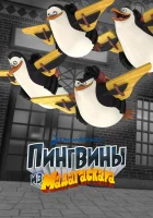  Пингвины из Мадагаскара смотреть онлайн мультсериал 1-3 сезон 