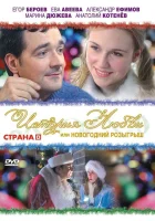  История любви, или новогодний розыгрыш смотреть онлайн (2009) 